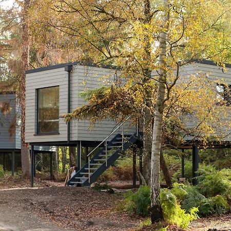 Tierpark Entdeckerhaeuser Wagenfeld Eksteriør billede