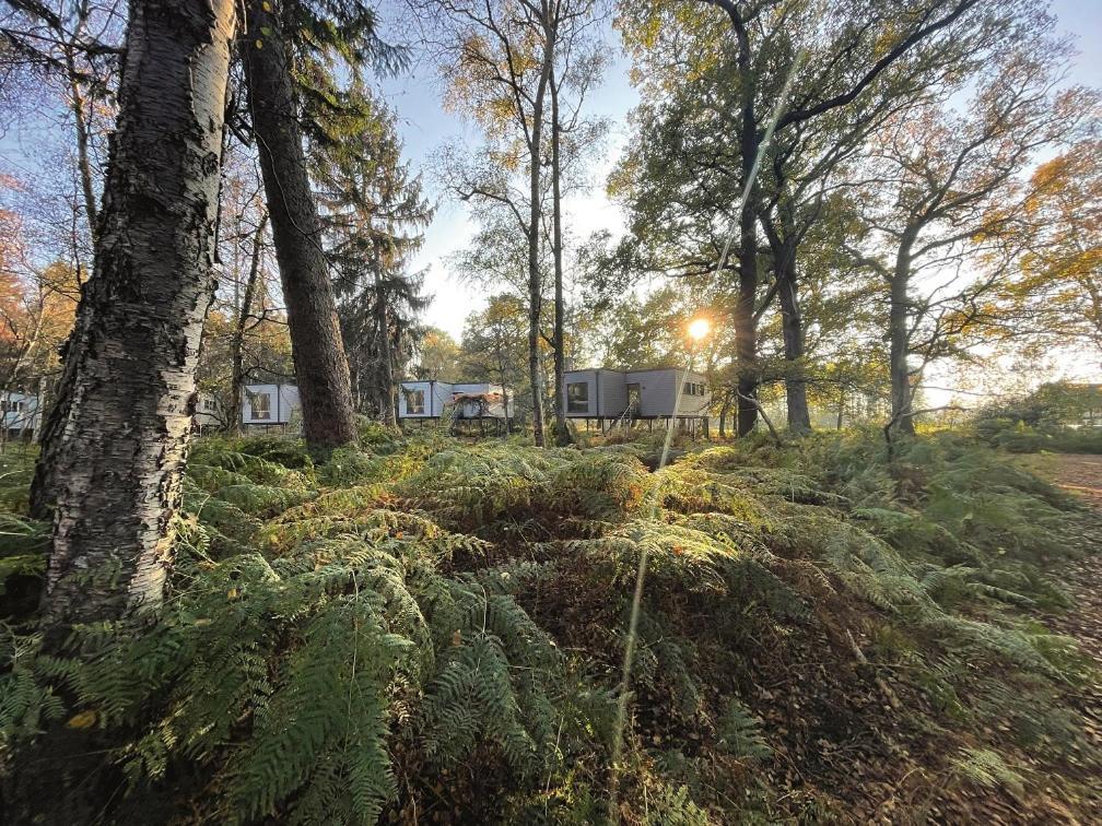 Tierpark Entdeckerhaeuser Wagenfeld Eksteriør billede