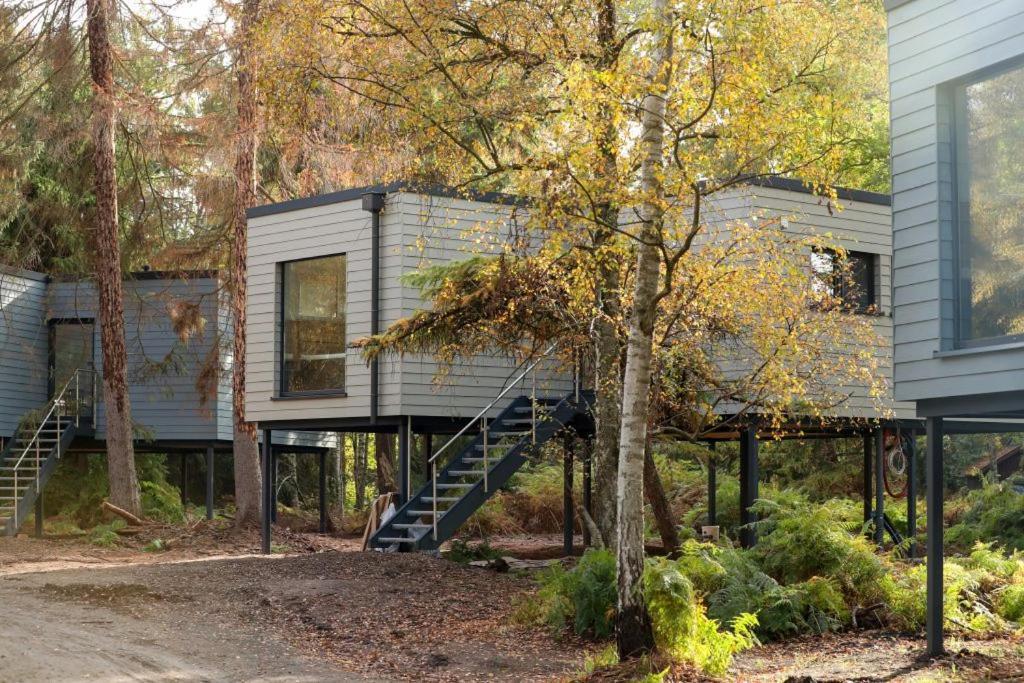 Tierpark Entdeckerhaeuser Wagenfeld Eksteriør billede