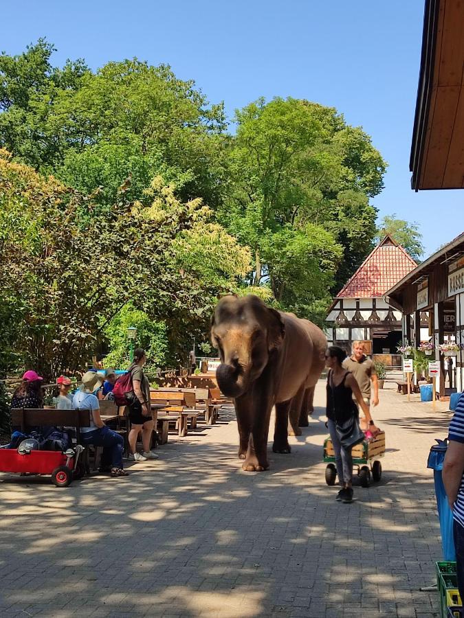 Tierpark Entdeckerhaeuser Wagenfeld Eksteriør billede