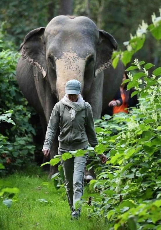 Tierpark Entdeckerhaeuser Wagenfeld Eksteriør billede