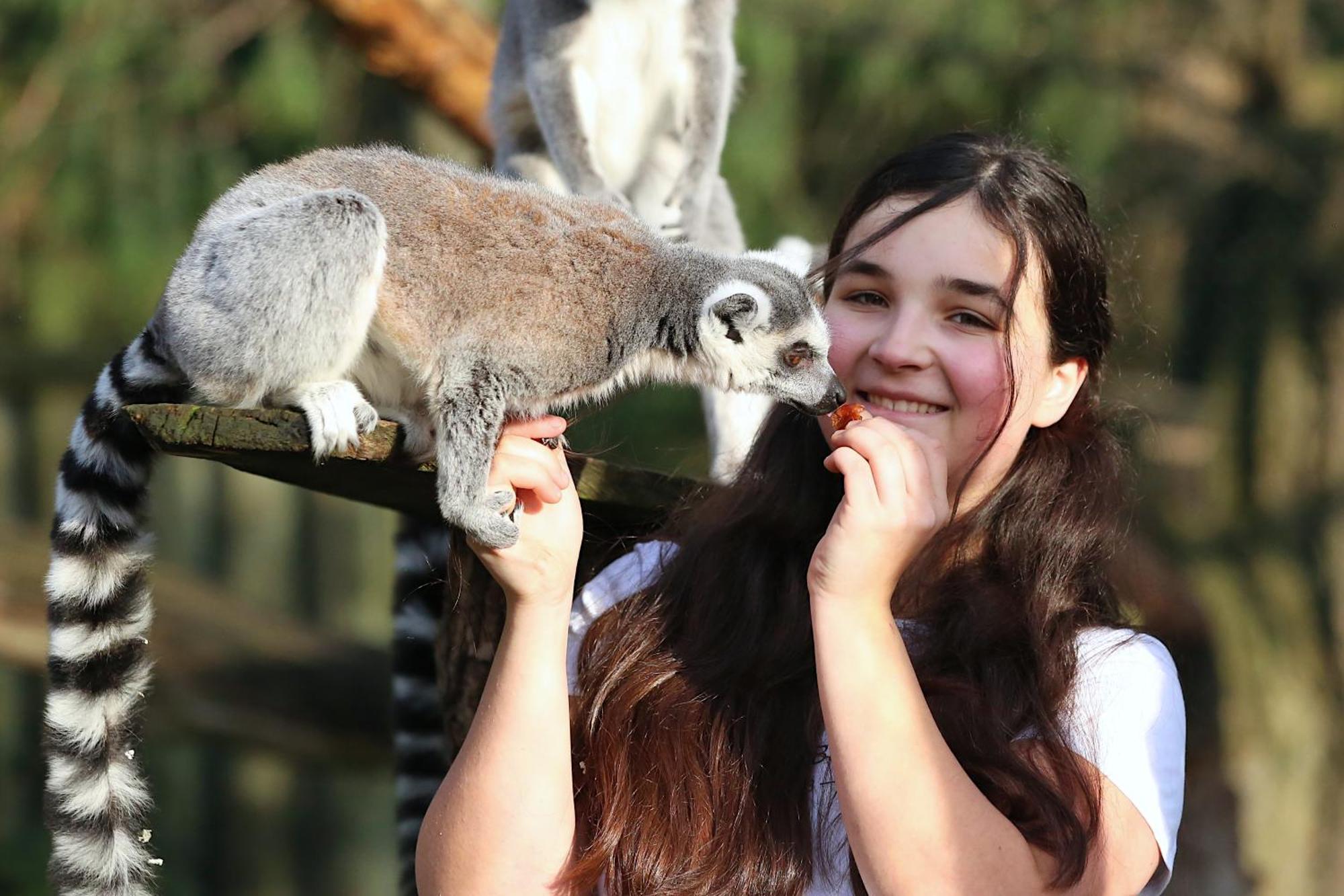 Tierpark Entdeckerhaeuser Wagenfeld Eksteriør billede